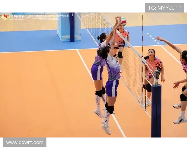 广州排球队心理素质创新高排球界新标杆引发关注与讨论