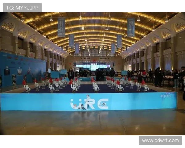 张娜畅谈DOTA2生涯背后的故事与挑战与成长之路