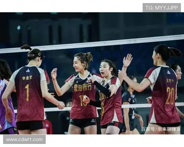 成都排球队的运营揭秘与深度分析探索排球运动的魅力与发展潜力