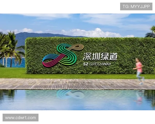 成都滑板队区域防守创新之路探索与实践分享 成都滑板队区域防守创新之路探索与实践分享